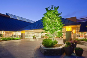 Гостиница Crowne Plaza Hotel-Minneapolis West-Plymouth, an IHG Hotel  Плимут